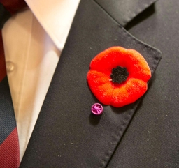 Armistice: anciens combattants et jeunes au Sénat - 11/11/2012