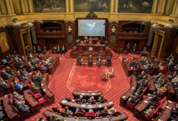 Commémoration de l'Armistice au Parlement fédéral