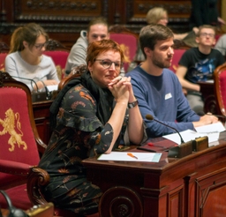 Het Hautekietdictee der Nederlandse Taal in de Senaat