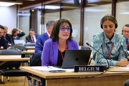 De Parlementaire Vergadering van de NAVO komt samen in Ljubljana