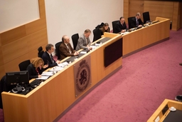 Gedachtewisseling met de premier over de Europese Raad