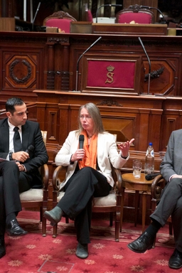 Armistice: anciens combattants et jeunes au Sénat - 11/11/2012