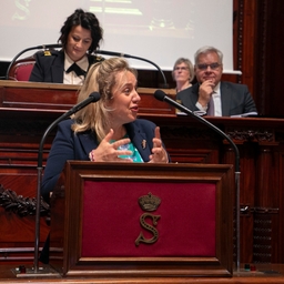 Le Sénat vote sur le projet de déclaration de révision de la Constitution