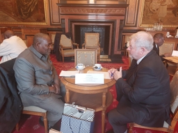 Parlementaire ambtenaren uit Niger in de Senaat