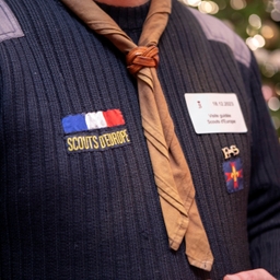 Guides et scouts au Sénat