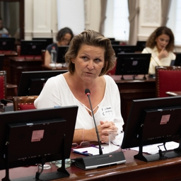 Nouvelle audition sur l’intégration professionnelle des chef(fe)s de familles monoparentales sur le marché de l’emploi