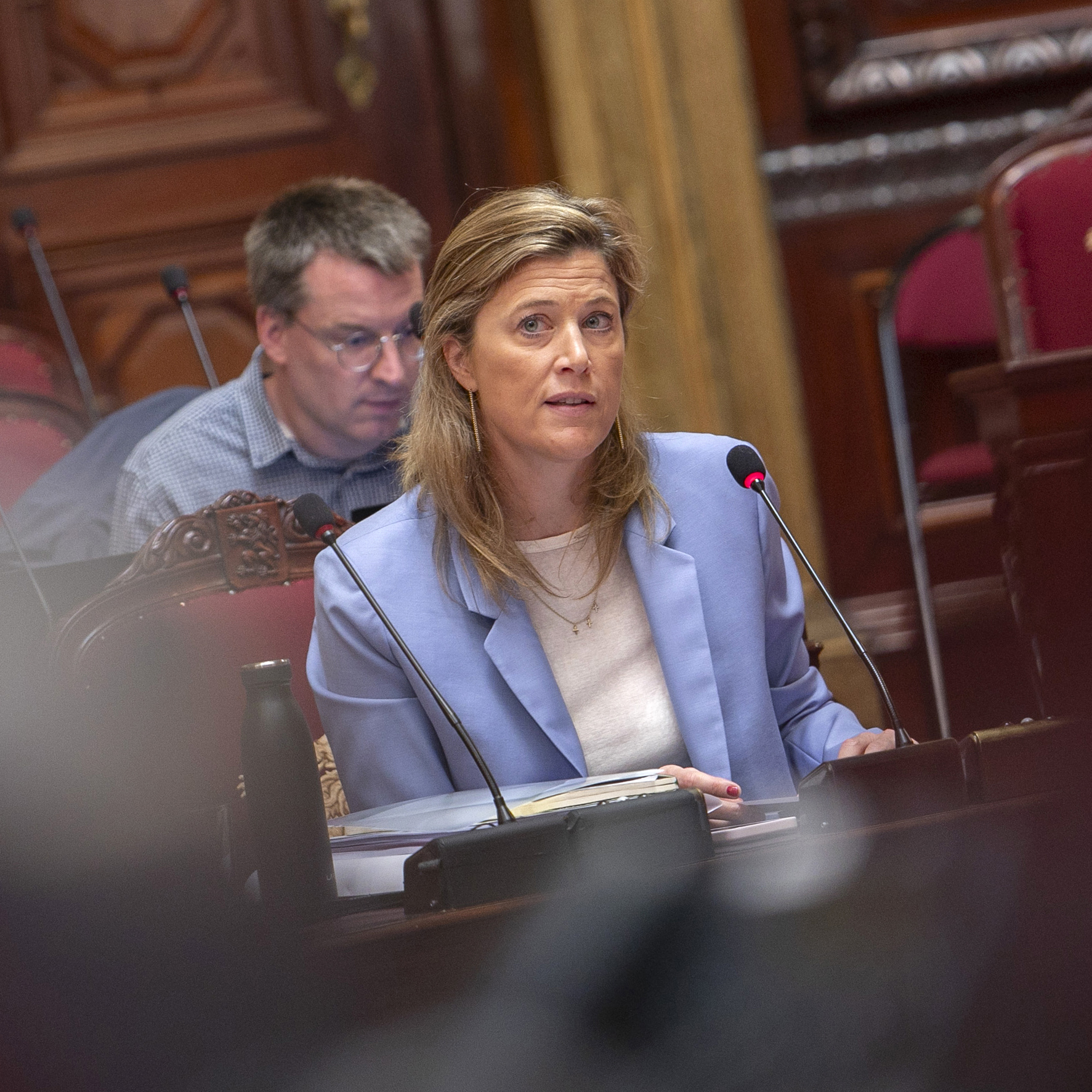  Le Sénat vote sur le projet de déclaration de révision de la Constitution