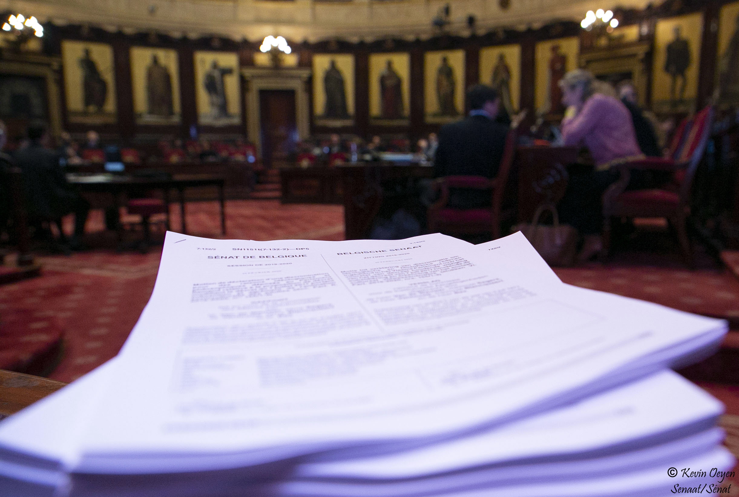  Séance plénière du 14 février 2020