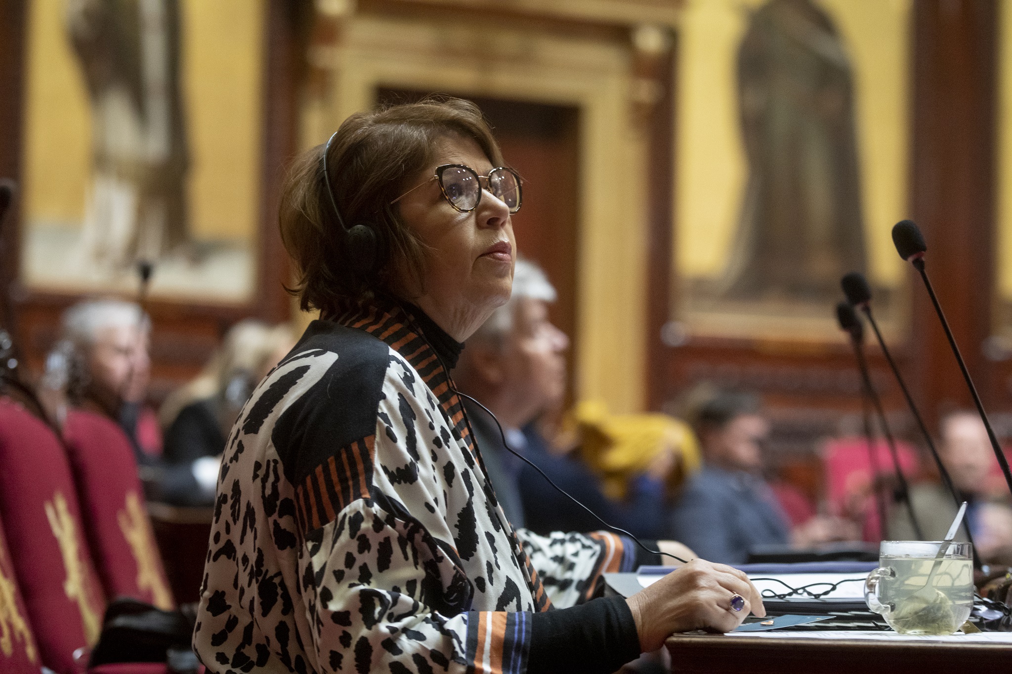  Vote au Sénat des dépenses de l’exercice 2021 et propositions budgétaires pour l’exercice 2023