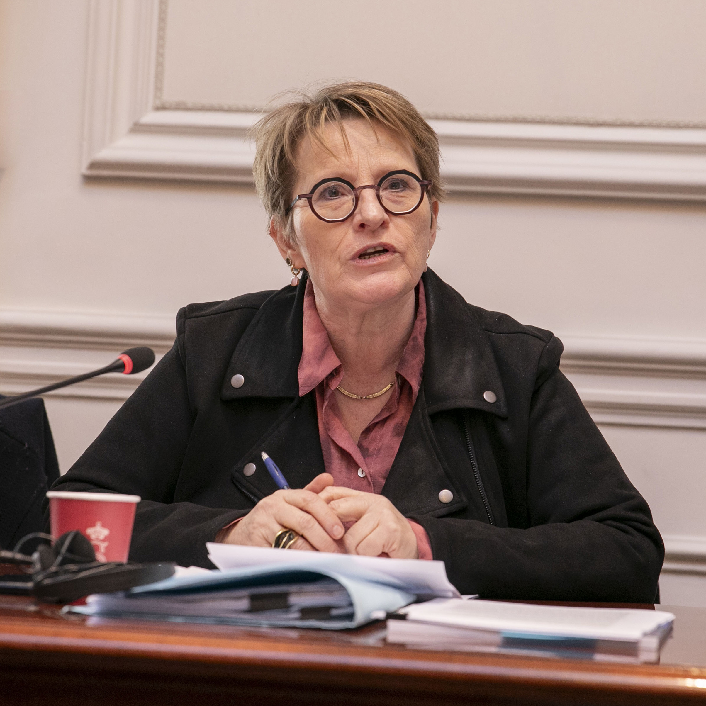  Rapport de recherche Espace pour les défenseur.e.s des droits humains en Belgique