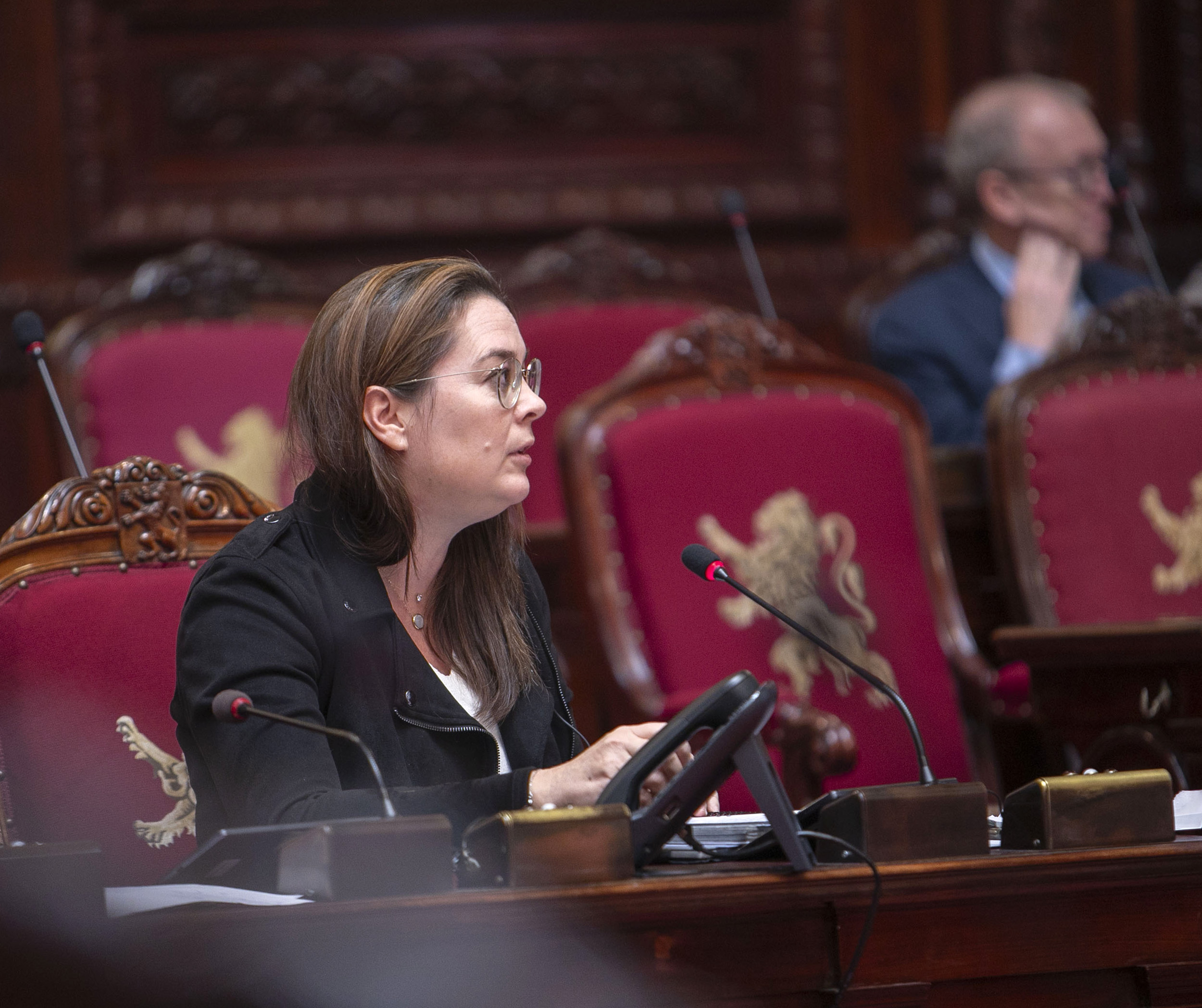  Le Sénat approuve les propositions budgétaires du Sénat pour l’exercice 2025