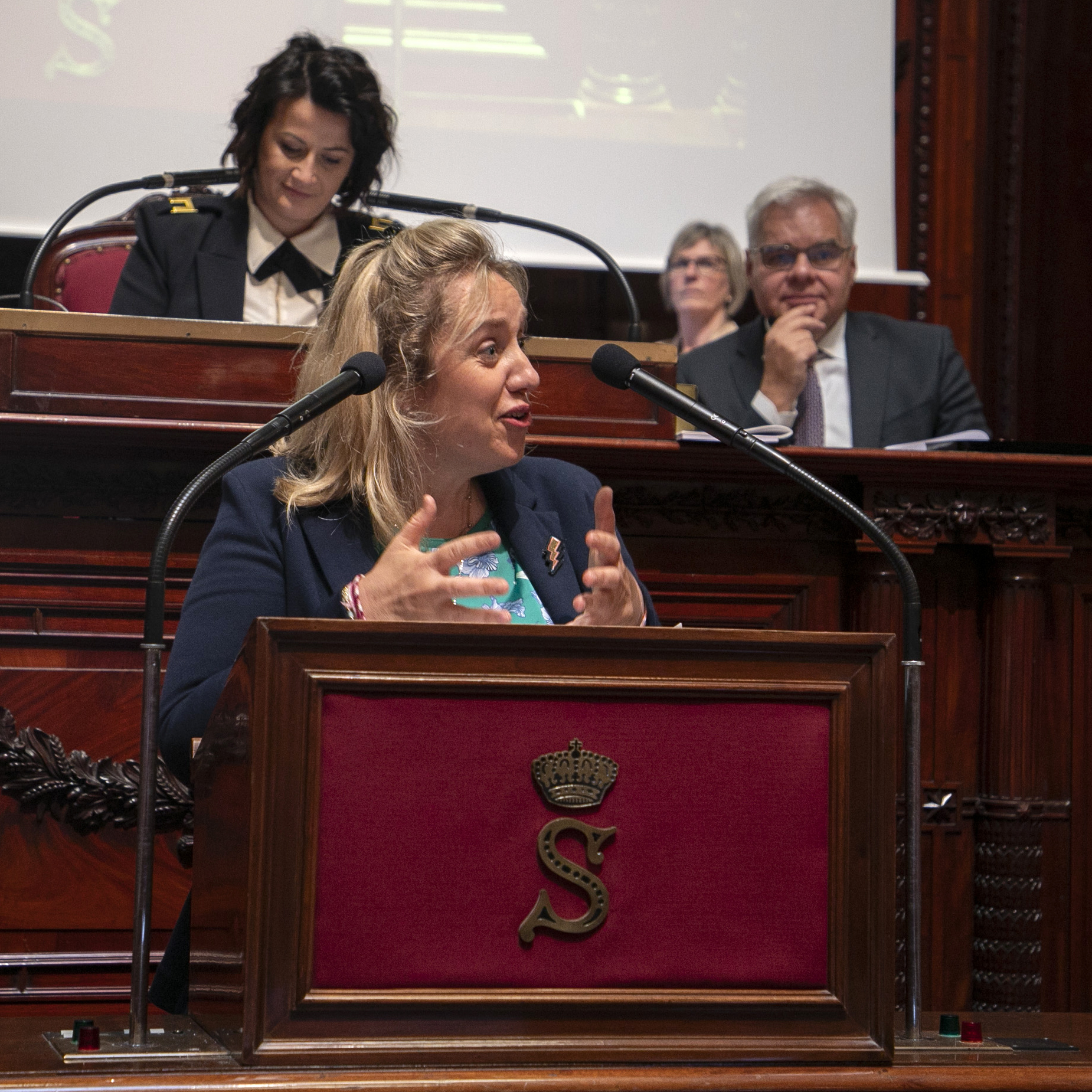  Le Sénat vote sur le projet de déclaration de révision de la Constitution