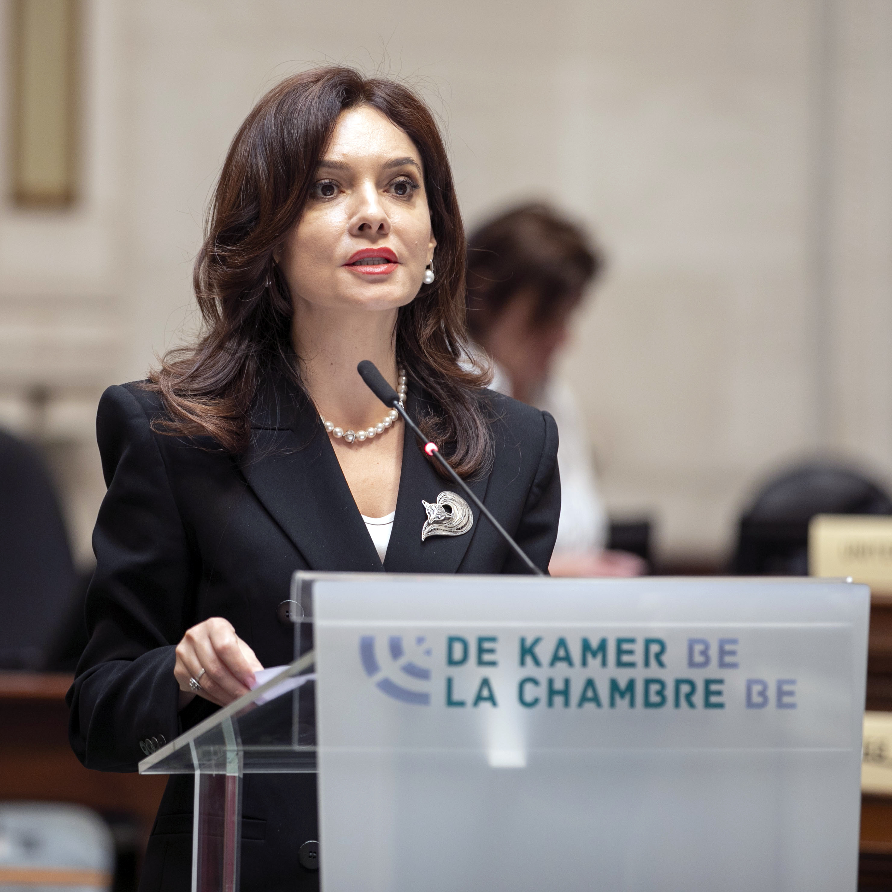  70 jaar NAVO Parlementaire Assemblee