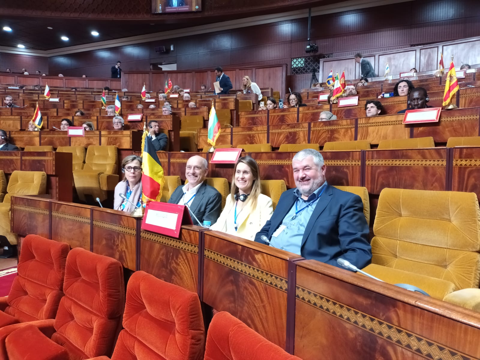  Séance plénière de l'Assemblée parlementaire de l'Union pour la Méditerranée
