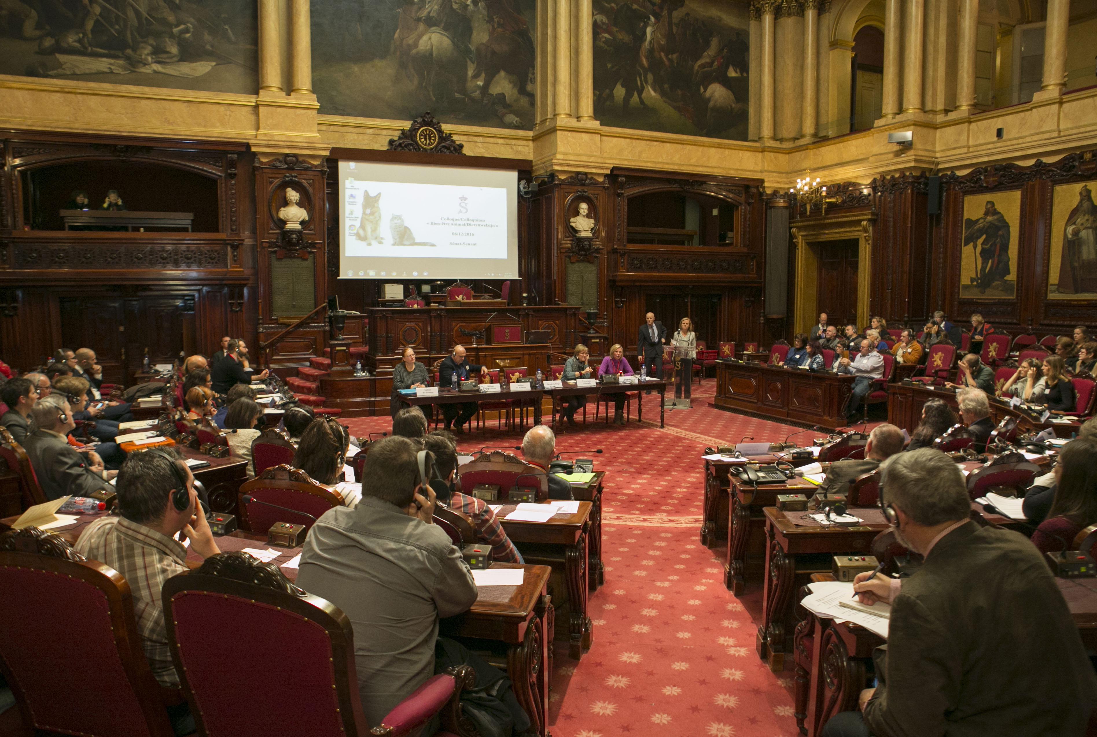  Colloque « Les 30 ans de la loi sur le bien-être animal en Belgique » 