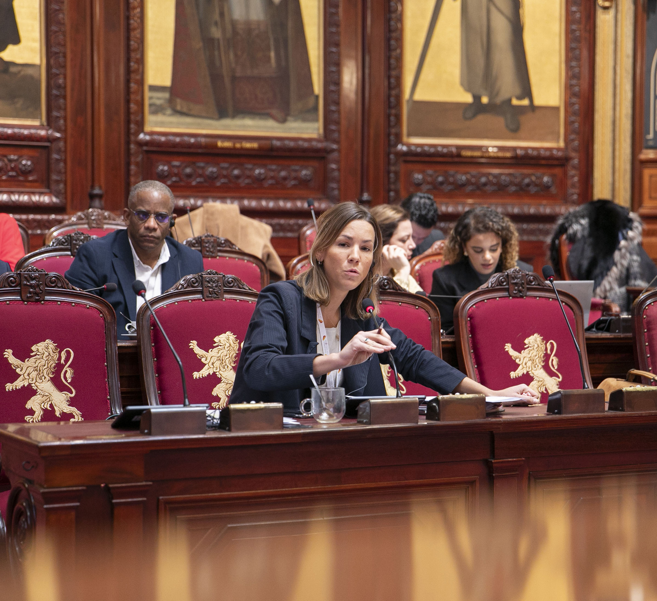  Le Sénat approuve les propositions budgétaires du Sénat pour l’exercice 2025