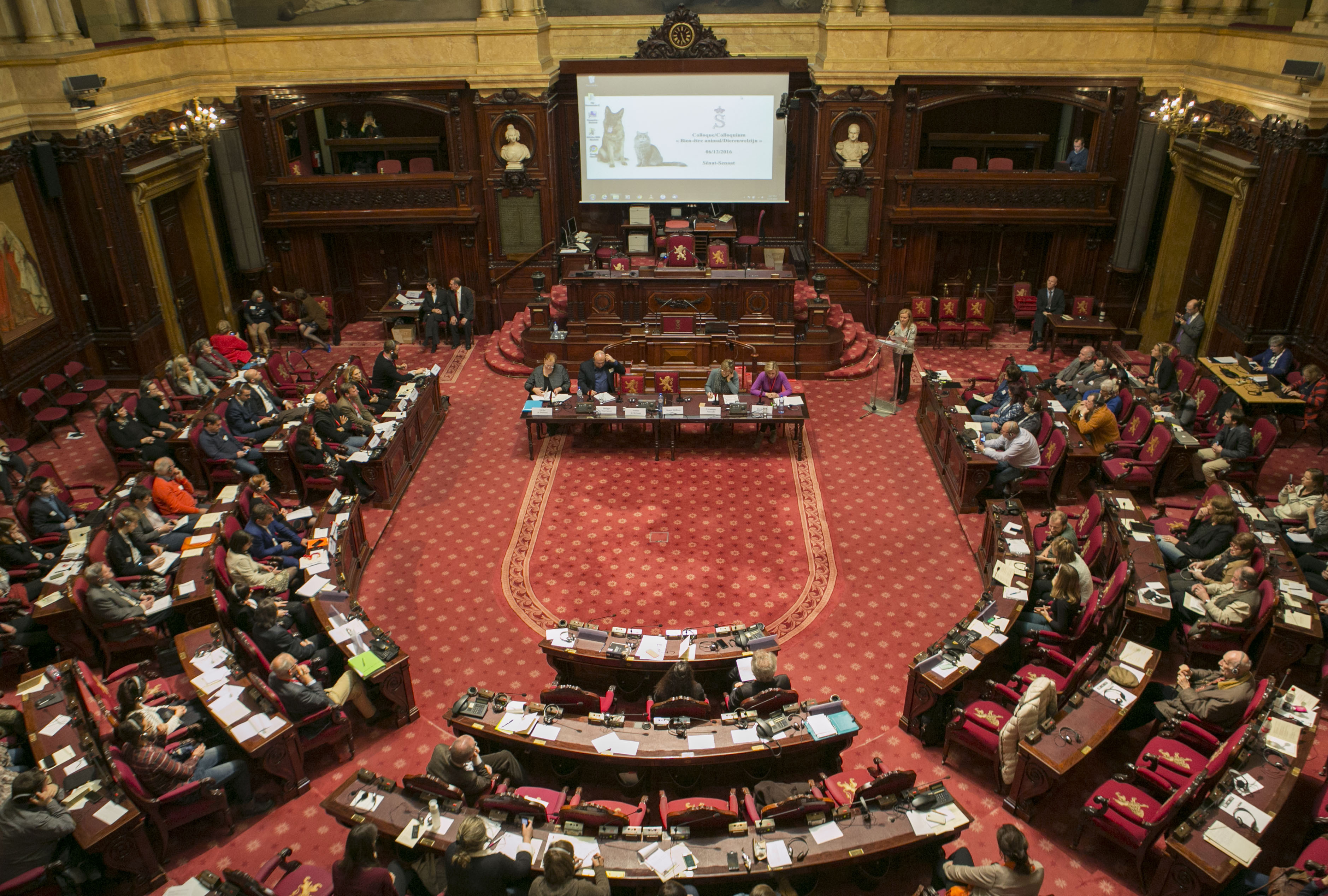  Colloque « Les 30 ans de la loi sur le bien-être animal en Belgique » 